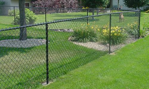 Chain link fence in a backyard.